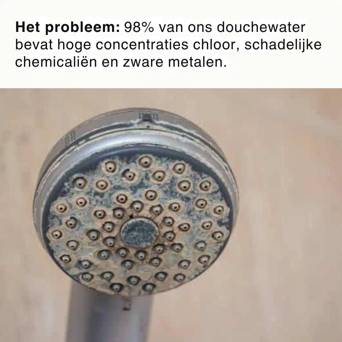 BergKam Gefilterde DoucheKop